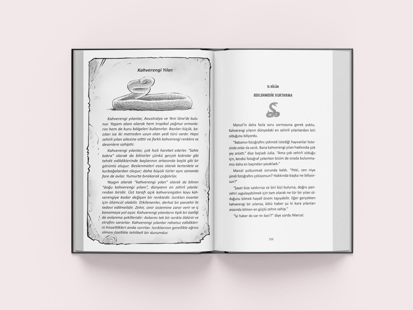 TEHLİKELİ BÖLGE-ISSIZ ÇÖL