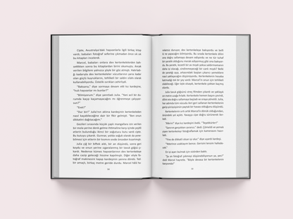 TEHLİKELİ BÖLGE-ISSIZ ÇÖL